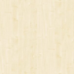 Asian Maple 40008