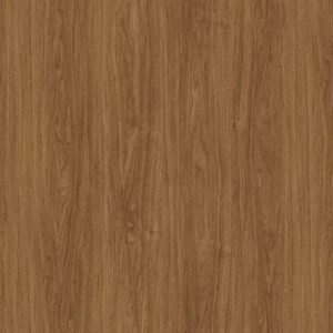 European Walnut 40081