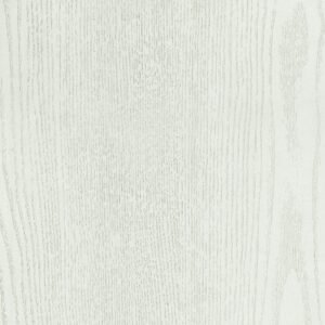509 Ash 10218