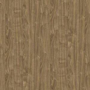 Autum Wood 50053
