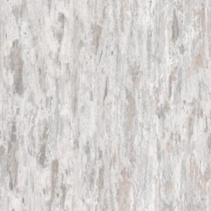 Betula 50016