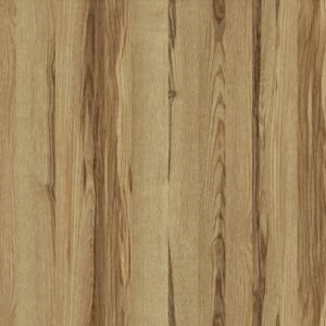 Desert Olive 10029