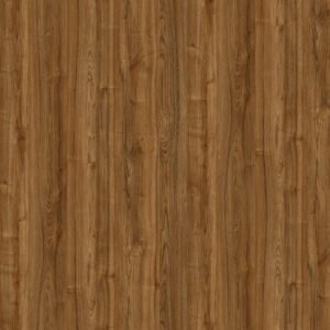 Leaved Elm 50058