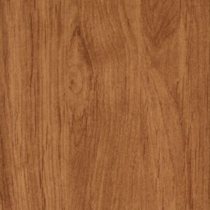 Plunk Elder 40040