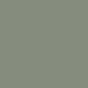Gecko Green TP-18