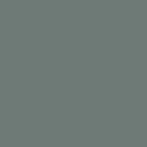 Acacia Green TP-19