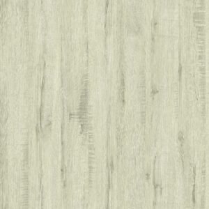 Walk With Trend 10252